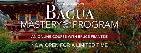 frantzis bagua mastery program